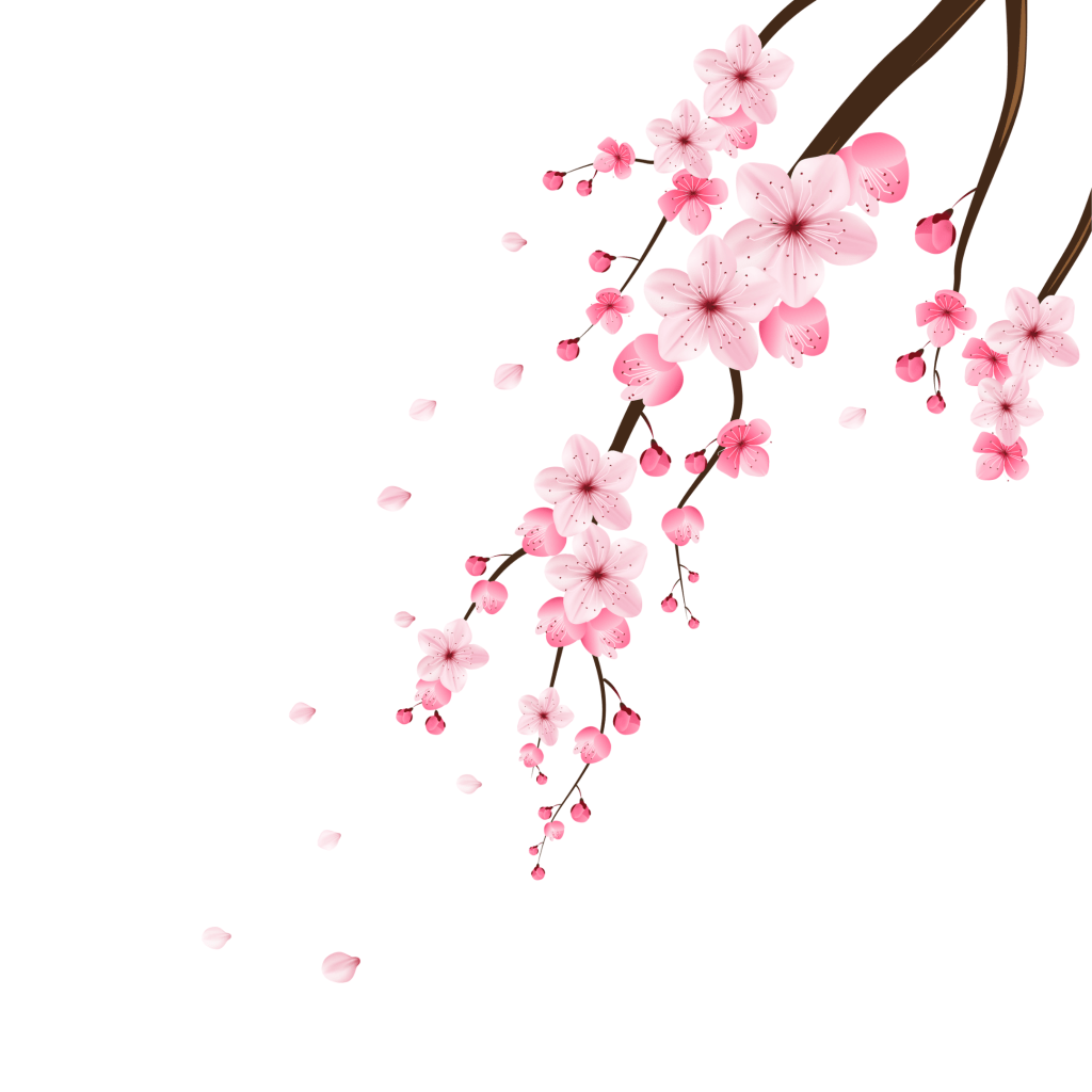 The Beauty in Failure:  My Experience with&nbsp;Failure